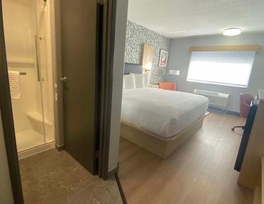 Pet Friendly King Room with Walk-In Shower - Non-Smoking