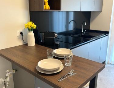 Superior One-Bedroom Apartment with Balcony