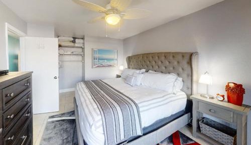 One Bedroom Apartment