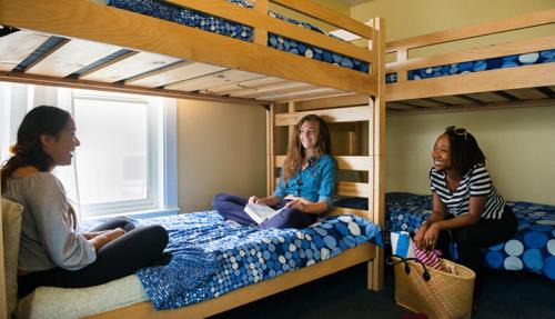 Bed in 4-Bed Mixed Dormitory Room