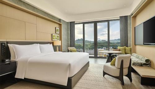 Deluxe King Room