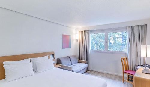 Standard Room with One Queen Bed and One Sofa Bed