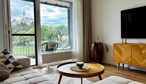 Deluxe One-Bedroom Apartment with City View