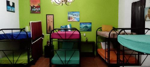 Mixed Dormitory Room