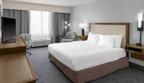 King Room with King Bed - Non-Smoking