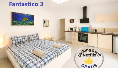 Fantastico 3 – Studio with a big terrace