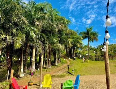 Superior Double or Twin Room with Mountain View