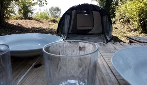 Tent