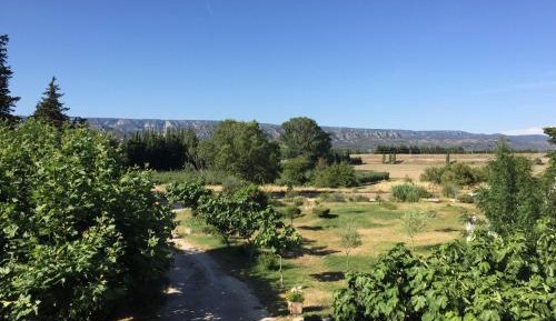 Double Room with Terrace