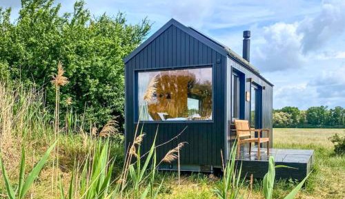 Mobile Home