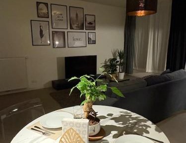 One-Bedroom Premium Apartment