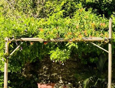 Three-Bedroom Superior Apartment