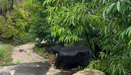 Queen Suite with Spa Bath