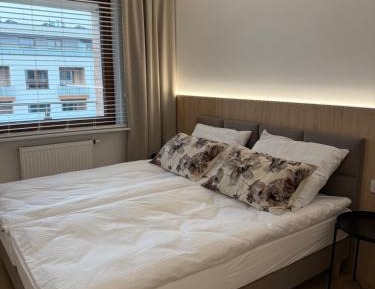 Suite Apartment