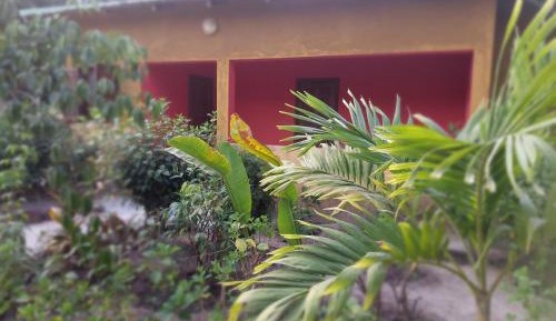 Bungalow with Garden View