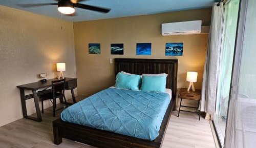 Studio Apartment with Queen Bed