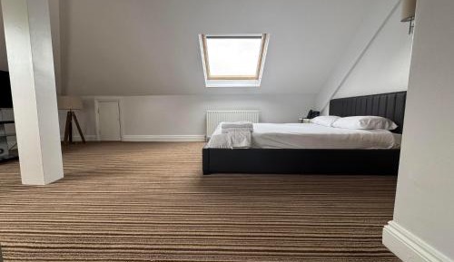 One-bedroom Loft Apartment 