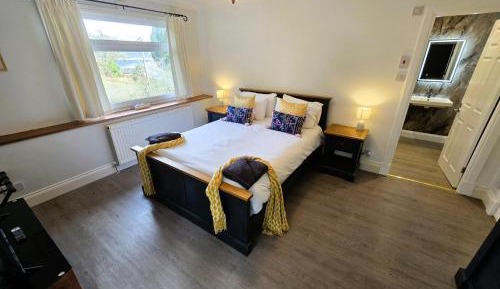 Deluxe Double or Twin Room with Lake View