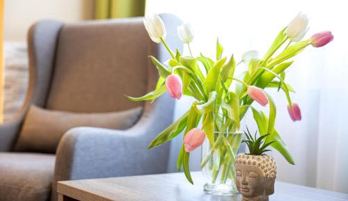 Family Room with sofa bed