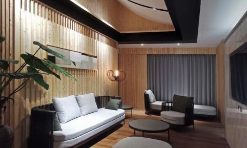 VIP Suite