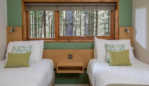 Golden Oak Cabin (pet-friendly)