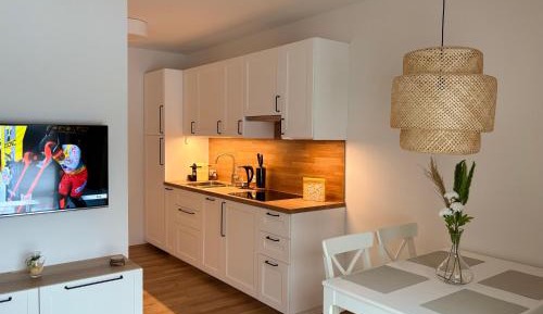 One-Bedroom Apartment with Balcony and Mountain View  