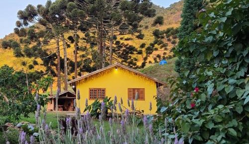 Four-Bedroom Holiday Home