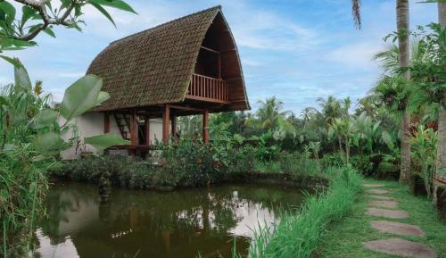 Standard Villa