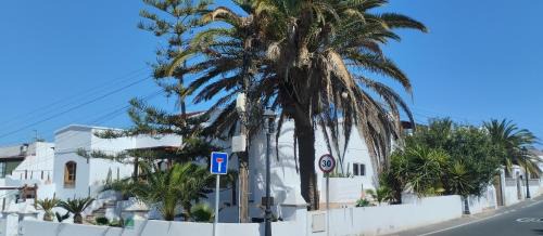 One-Bedroom Apartment (03)