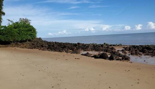 Double Room with Patio