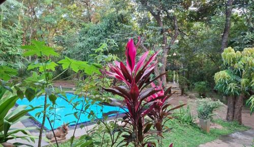 Villa with Garden View