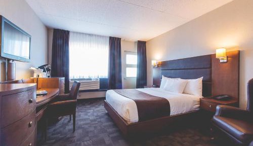 Superior Queen Room