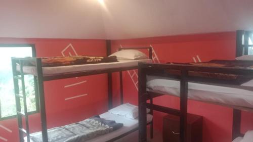 Bed in 4-Bed Mixed Dormitory Room