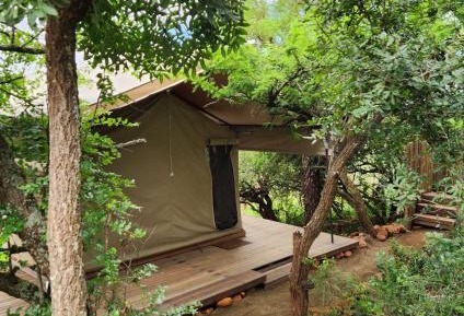 Tent