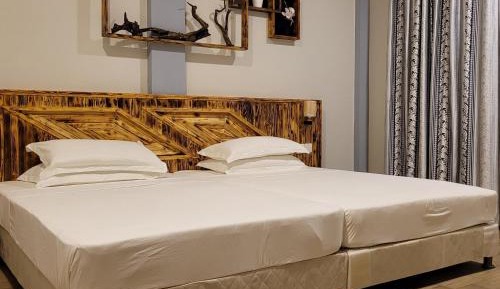 Deluxe Double or Twin Room with Garden View