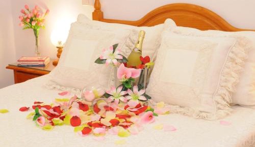 Large One-Bedroom Apartment