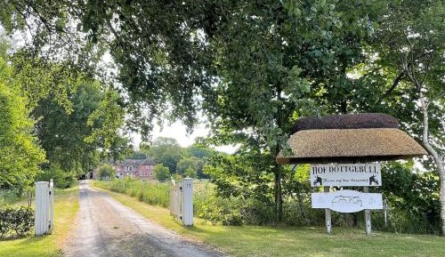 Apartment - Split Level