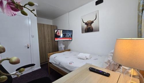 Standard Single Room with Shared Bathroom