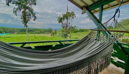 Junior Suite with Terrace