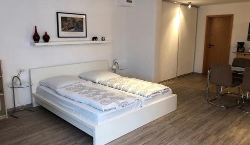 Superior One-Bedroom Apartment