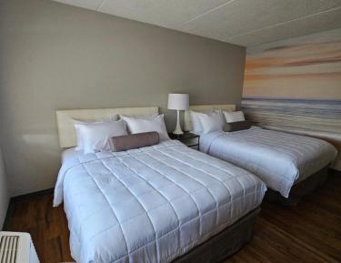 Quadruple Room with Two Queen Beds - Disability Access/Non Smoking