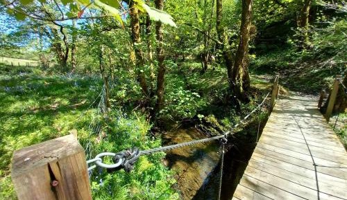 Deluxe Double Room with Shower