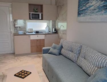 One-Bedroom Premium Apartment