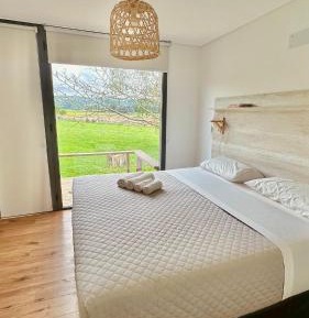 Double Room with Mountain View