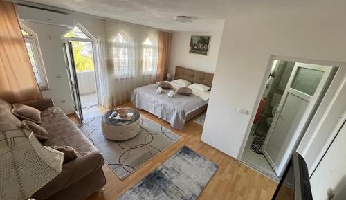 Apartment with City View