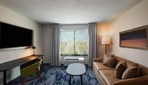 Suite, 1 King, Sofa bed