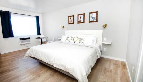 Standard King Room