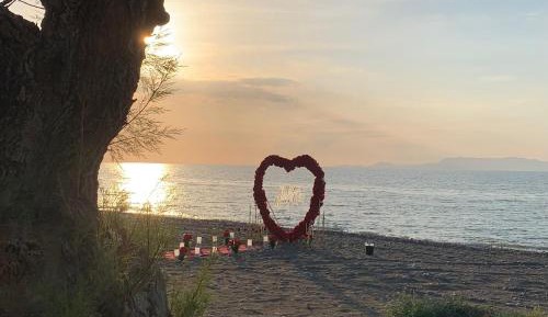 Twin Room - Ground Floor