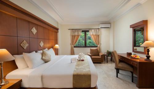 Deluxe Double or Twin Room