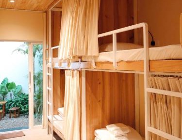 Bunk Bed in Mixed Dormitory Room
